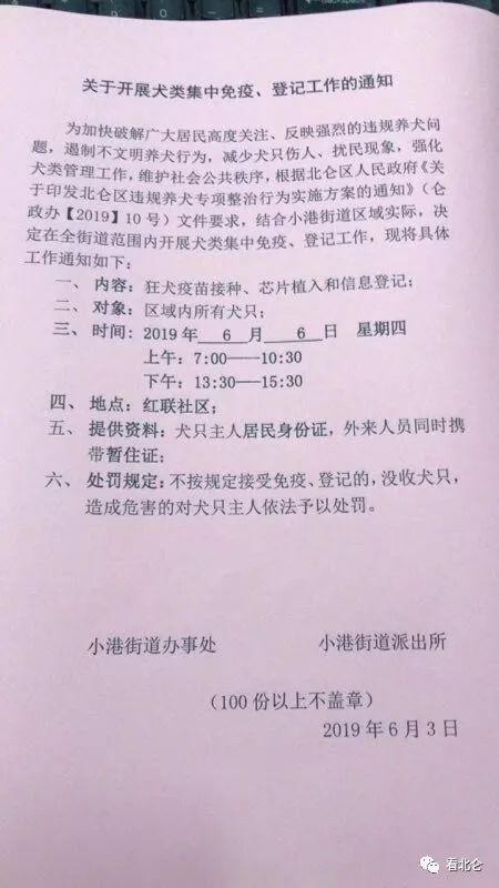 重要通知！除限制养犬范围区外北仑这个地方的狗狗也要上户口了