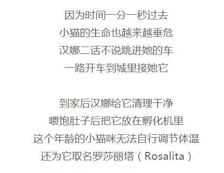 一只快冻死的小奶猫从被救的那一刻起就一直面带微笑