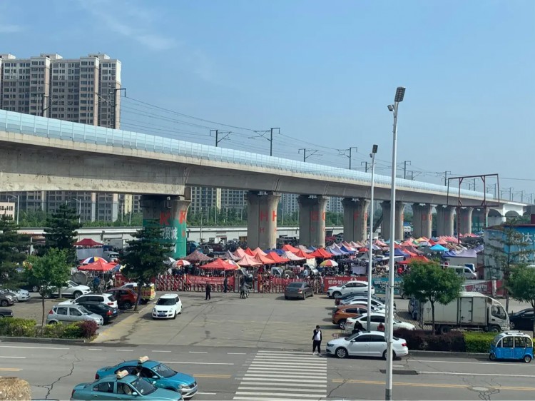 丰南大集：常日早市+六日大集宠物+鲜花水族市场欢迎来逛！