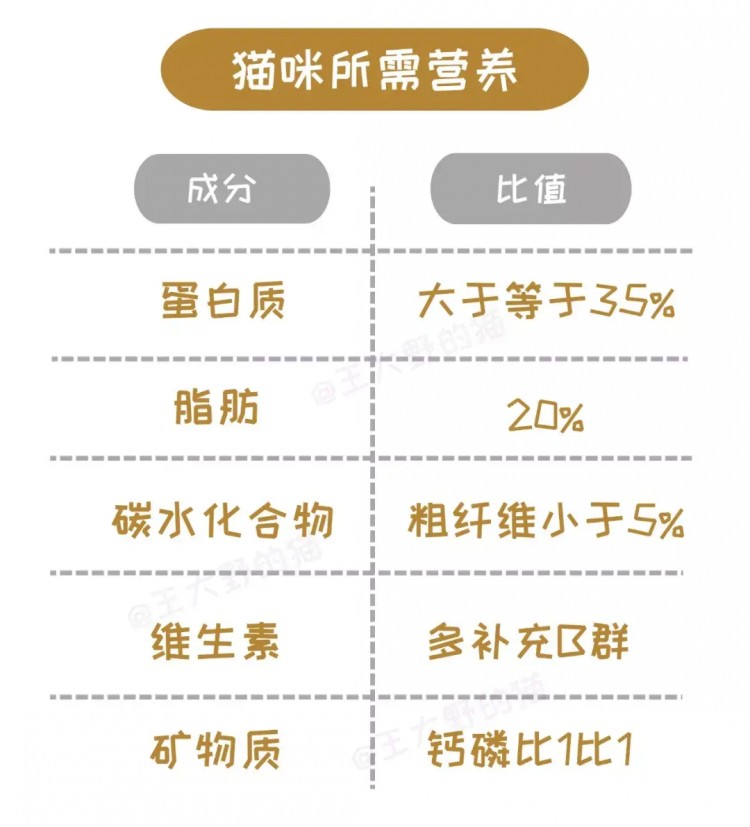 新手必看：猫粮成分表怎么看如何给猫咪挑选一款好粮