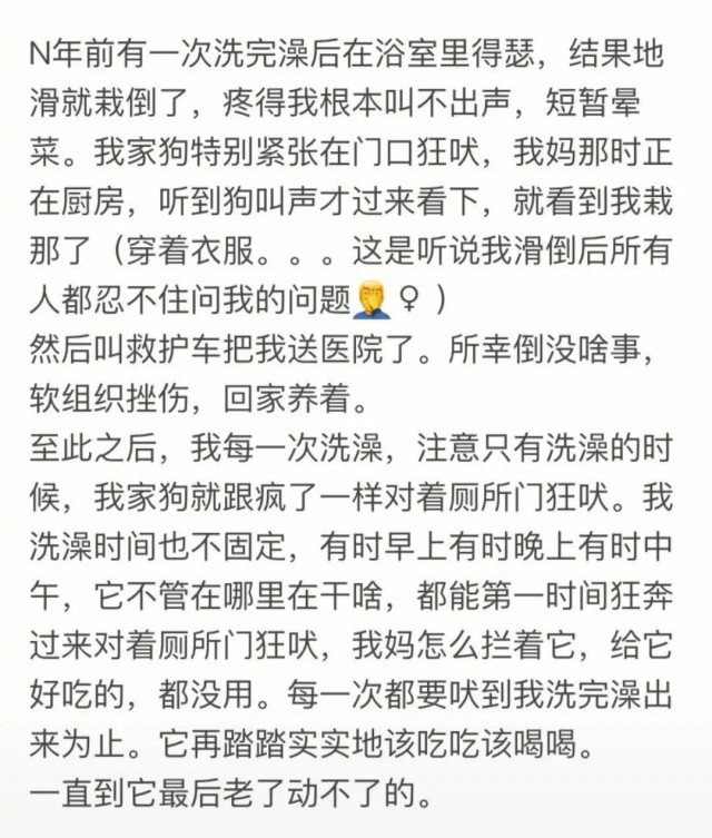 主人在浴室摔倒后狗狗开始哀嚎！你永远想不到狗狗把你看得多重要