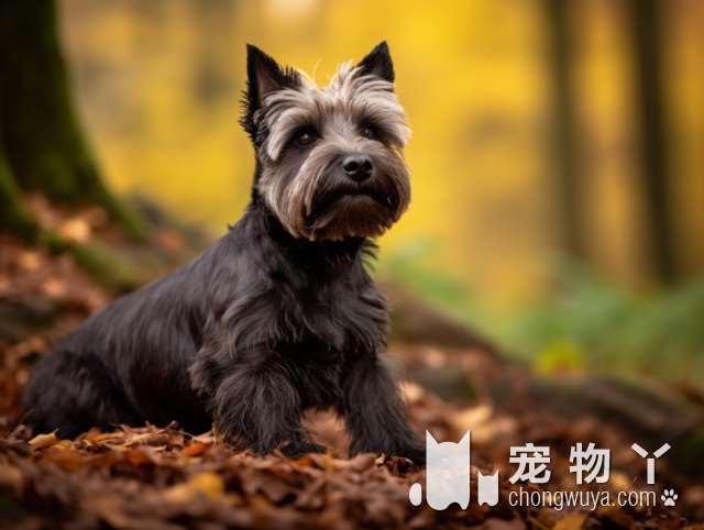 常州优妮宠物，万达旁好评如潮，价格实惠服务专业，还能让狗狗口水少鼻子干？